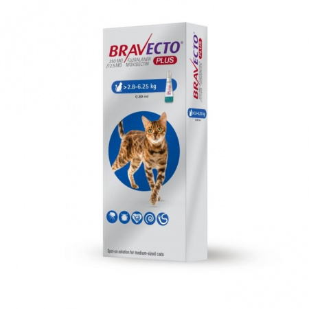 Bravecto Cat Plus M 250 mg / 12,5 mg spot-on roztok pre stredne veľké mačky (>2,8-6,25 kg)  