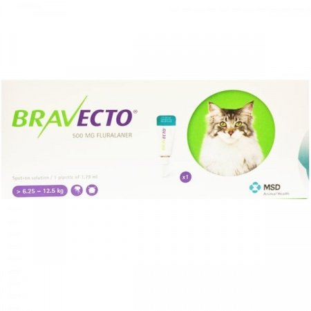 Bravecto Cat L 500 mg spot-on roztok pre veľké mačky ( od 6,25 do 12,5 kg ) 1 x 1,79 ml