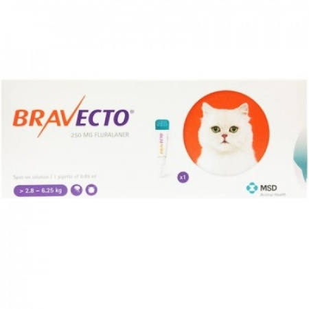 Bravecto Cat M 250 mg spot-on roztok pre stredne veľké mačky ( od 2,8 do 6,25 kg ) 1 x 0,89 ml  