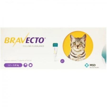 Bravecto Cat S 112,5 mg spot-on roztok pre malé mačky ( od 1,2 do 2,8 kg ) 1 x 0,4 ml  