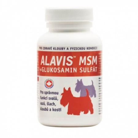 ALAVIS MSM + Glukosamin sulfát 60 tbl. 